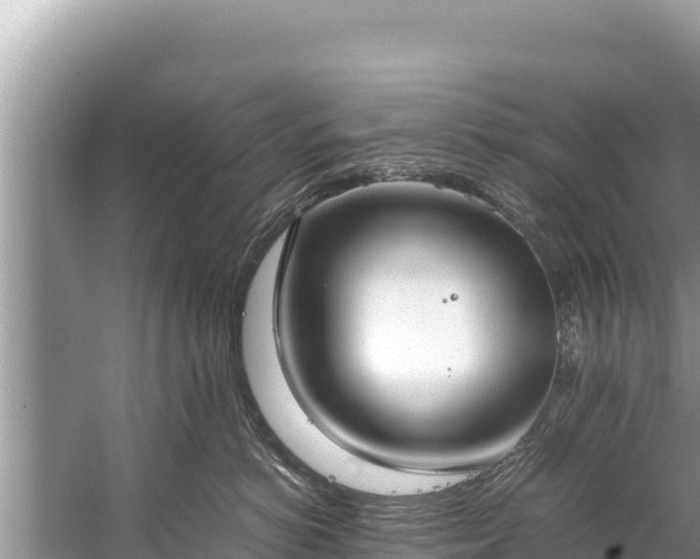 X0000060230766200510311547