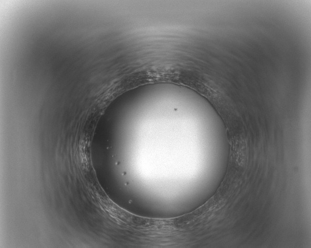 X0000060230770200510311546