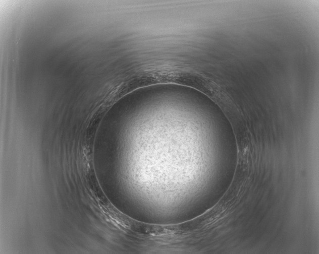 X0000060230772200510311546