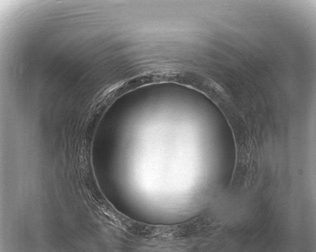 X0000060230773200510311546