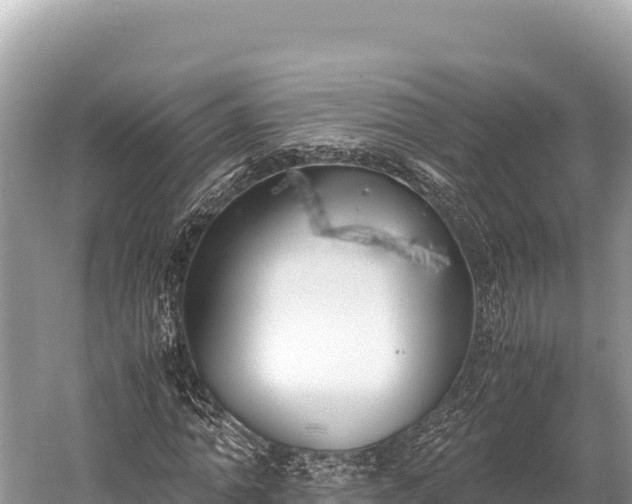 X0000060230774200510311546