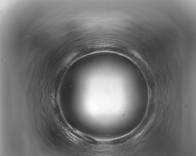 X0000060230777200510311546