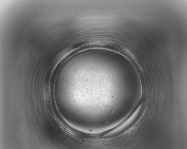 X0000060230779200510311546