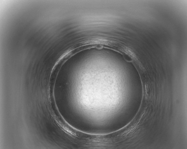 X0000060230780200510311546