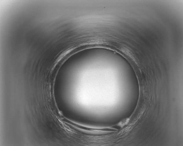 X0000060230781200510311546