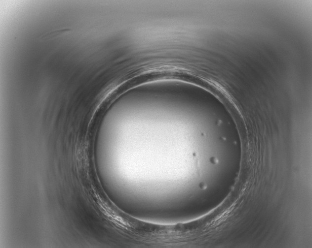 X0000060230783200510311546