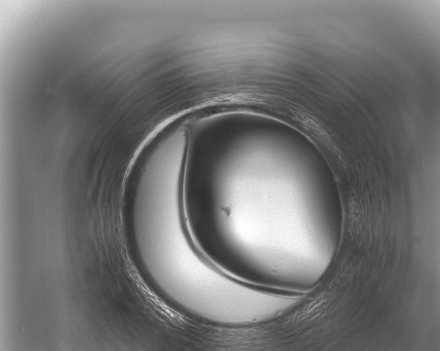 X0000060230784200510311546