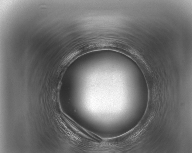 X0000060230785200510311546