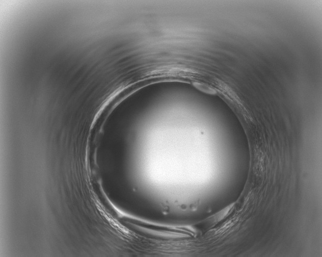 X0000060230788200510311546