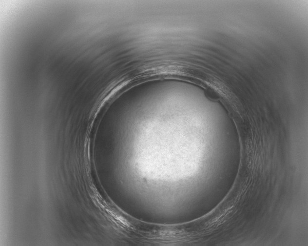 X0000060230790200510311546