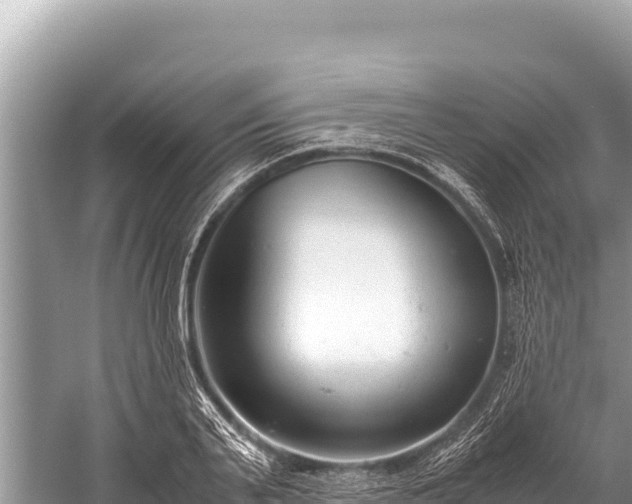 X0000060230791200510311546