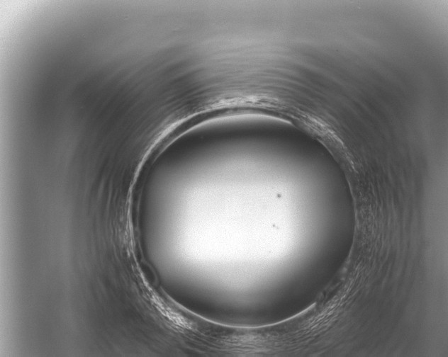 X0000060230792200510311546