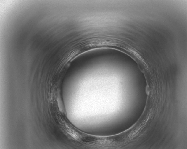 X0000060230793200510311546