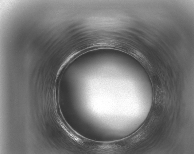 X0000060230796200510311546