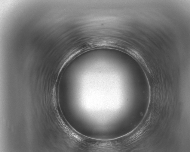 X0000060230798200510311546