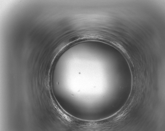 X0000060230799200510311546