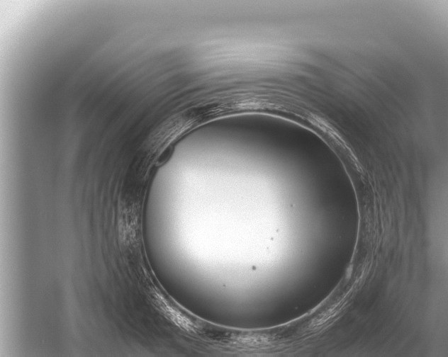 X0000060230801200510311546