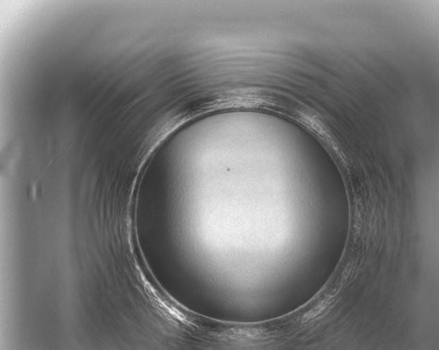 X0000060230802200510311546