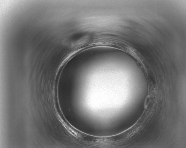 X0000060230803200510311546