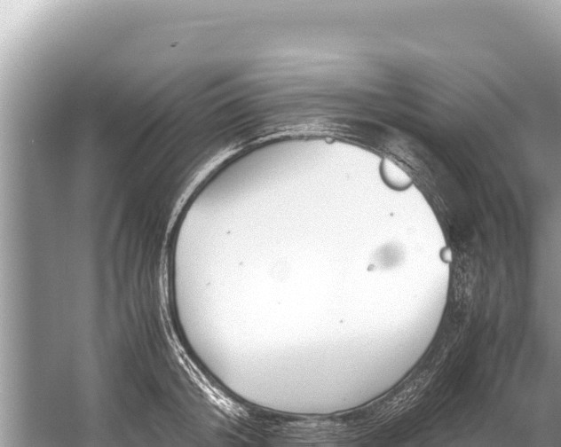 X0000060230804200510311546