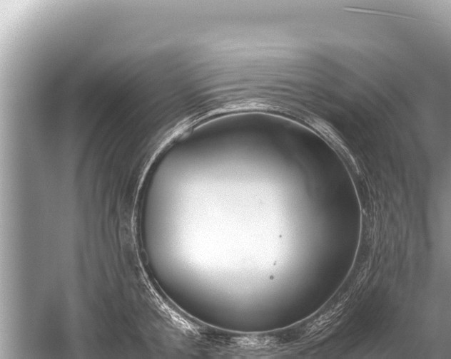 X0000060230805200510311546