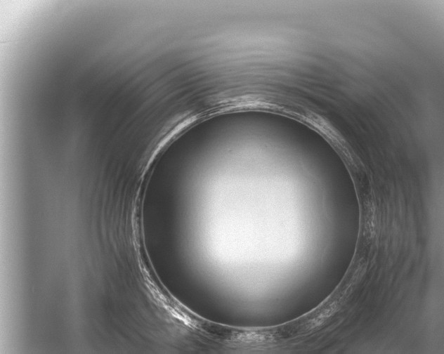 X0000060230806200510311546