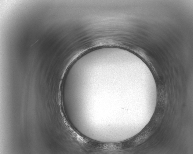 X0000060230807200510311546