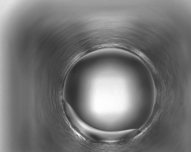 X0000060230809200510311546