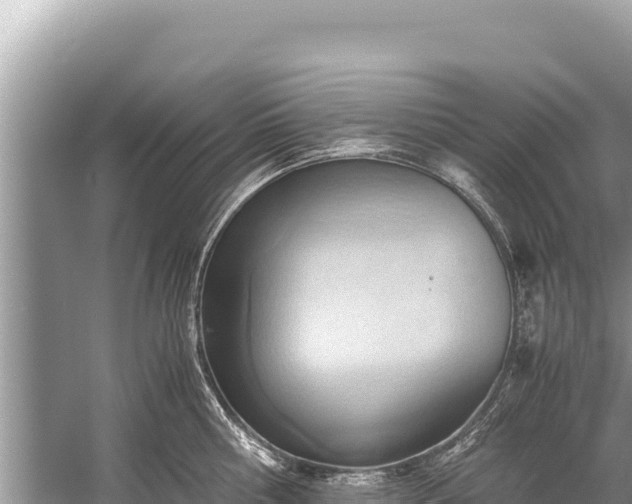 X0000060230810200510311546