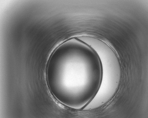 X0000060230813200510311546