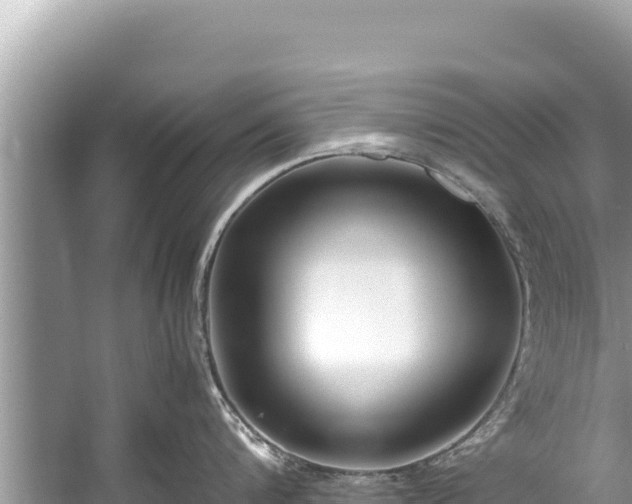 X0000060230816200510311546