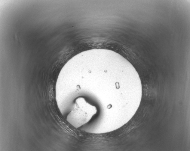 X0000060230820200510311545