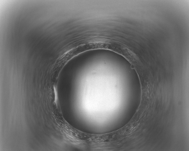 X0000060230821200510311545