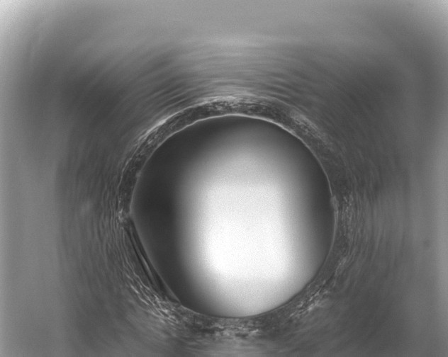 X0000060230822200510311545