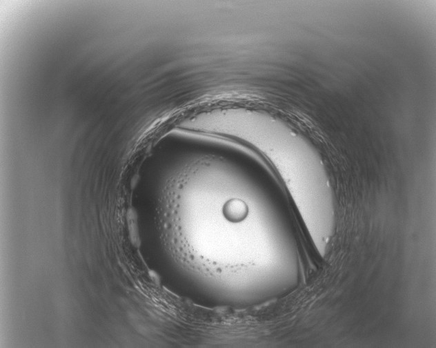 X0000060230824200510311545