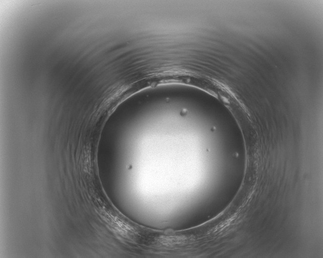 X0000060230825200510311545