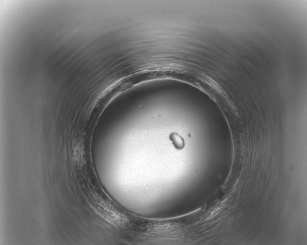 X0000060230826200510311545