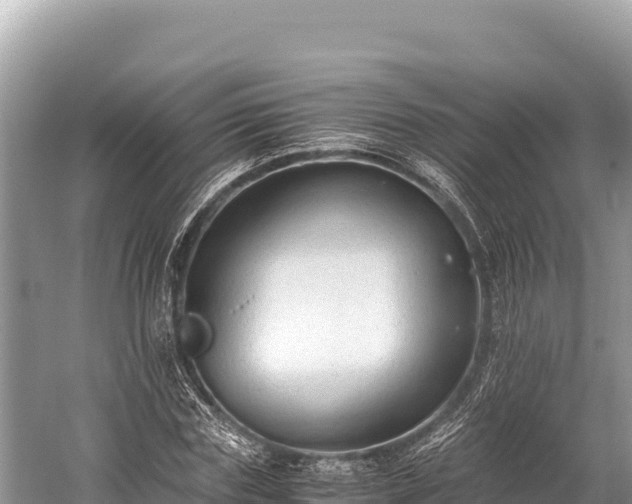 X0000060230827200510311545