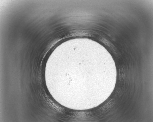 X0000060230828200510311545