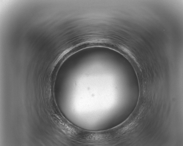 X0000060230829200510311545