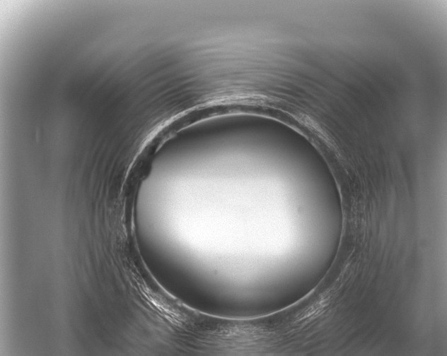 X0000060230830200510311545