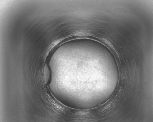 X0000060230831200510311545