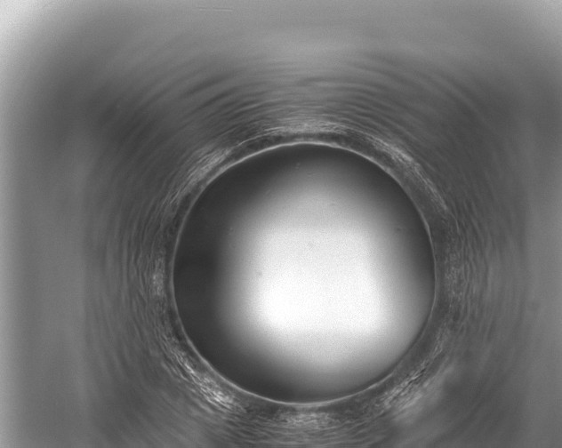 X0000060230833200510311545