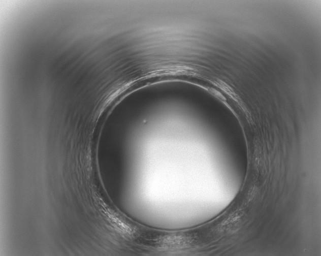 X0000060230834200510311545