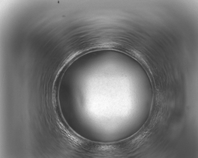 X0000060230835200510311545