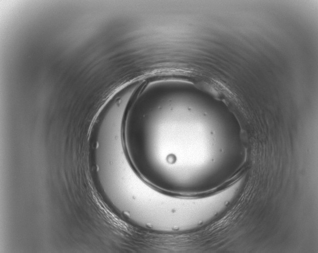 X0000060230836200510311545