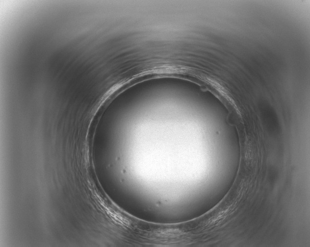 X0000060230837200510311545