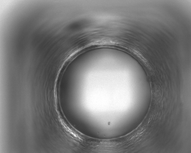 X0000060230840200510311545