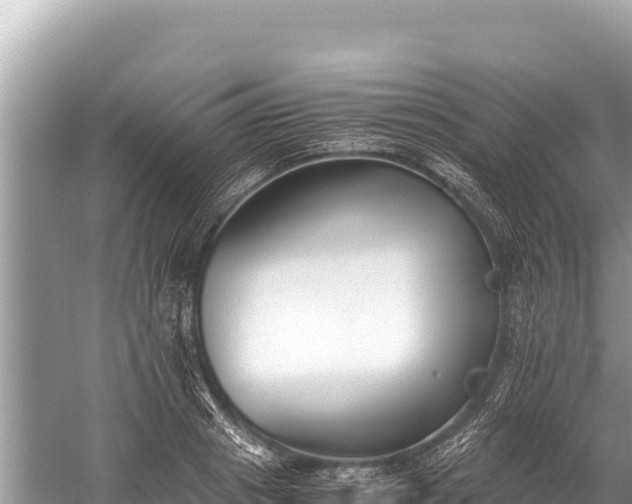 X0000060230841200510311545