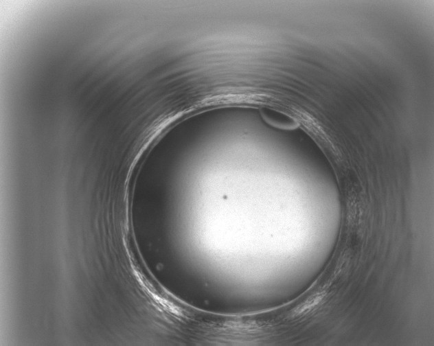 X0000060230844200510311545